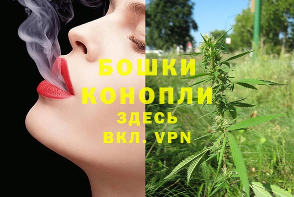 дурь Лабытнанги