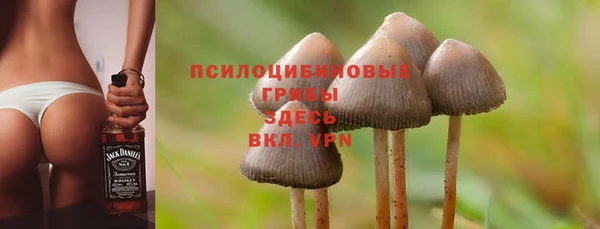 дурь Лабытнанги