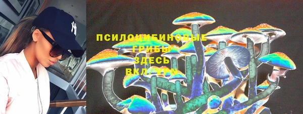 гашик Ладушкин