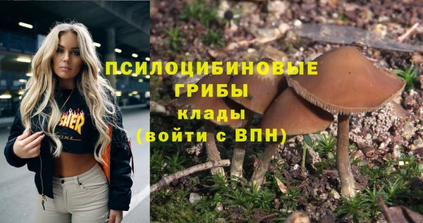 дурь Лабытнанги