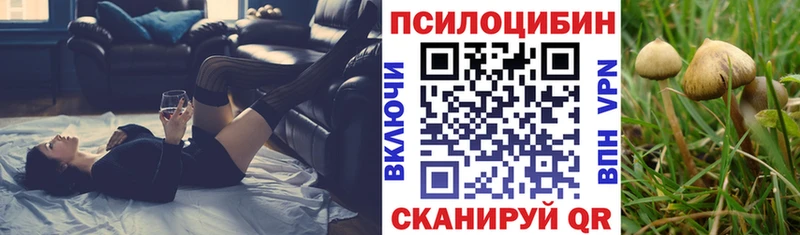 наркотики  Октябрьский  блэк спрут онион  Псилоцибиновые грибы MAGIC MUSHROOMS 