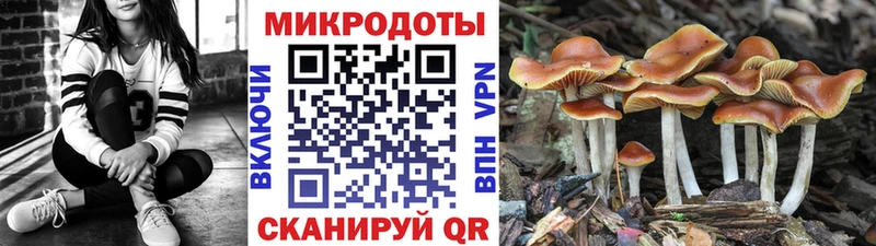 Псилоцибиновые грибы прущие грибы Октябрьский